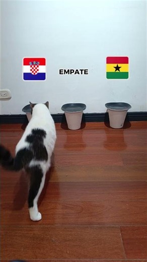 CROATIA VS GHANA? 🇭🇷 vs 🇬🇭 GROUP L DECIDER! 🔮⚽