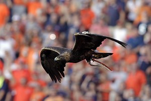 Auburn trolls Georgia by bringing back Nick Fairley as honorary captain