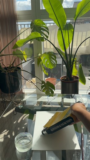 Blend and layer with these highly-pigment acrylic paints, designed for precise CMYK matching and exceptional colour mixing. Perfect for achieving true-to-life colours and endless artistic possibilities. | Winsor & Newton