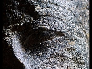 TEFAF Online 2020 - Axel Vervoordt - Head of Egyptian fertility god Min: Introduction