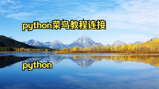 python菜鸟教程连接数据库 python 数据挖掘培训 py