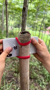 How to make a simple photo stick #maobushcraft #reelsfb #skillsurvival #outdoors #forest #survival #bushcraft #camping | Mao Bushcraft