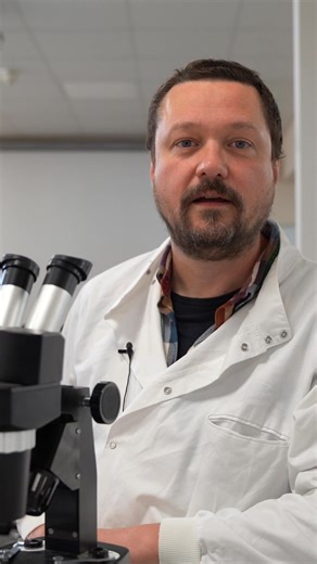 At SRUC’s Animal Behaviour and Welfare Group, we’re exploring what positive animal welfare really means - including innovative approaches like the rat tickling model. This research is a collaboration between Vincent Bombail (SRUC), Sarah Brown (Roslin Institute), and Alistair Lawrence (The Roslin Institute & SRUC). Want to learn more about our work? 👉 https://buff.ly/9hwHrEj Places are still available on the Animal Welfare Science and Applied Animal Science degree course starting in September, 