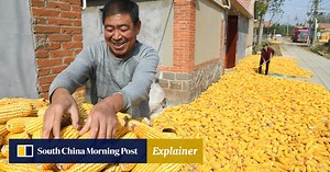 Explainer | What is the status of China’s food security and why is it important?