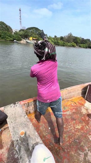 Just a simple water bottle trap… And BOOM — a massive river mullet!