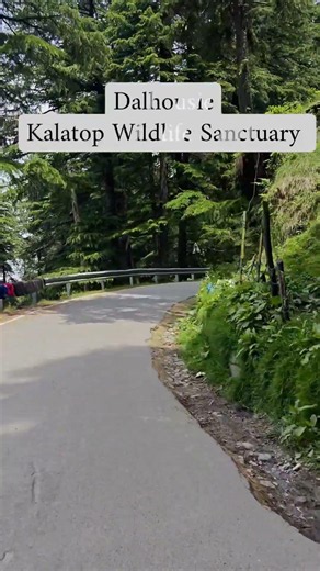 a trip to dalhousie best place to visit in himachal