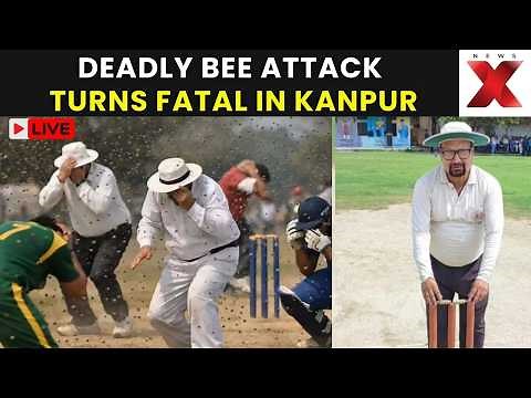 Kanpur Bee Attack LIVE: Umpire Killed, Around 20 Injured During Cricket Match | NewsX