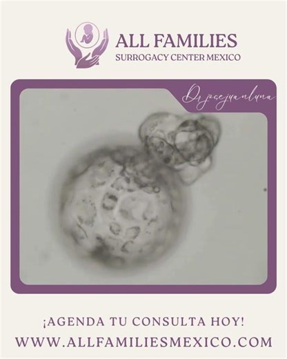 Apertura de Zona Pelúcida con Láser | Biopsia Embrionaria | Dr. José Juan Luna 🔬