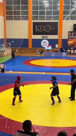 Understanding Ushiro in MMA and Pankration Sports