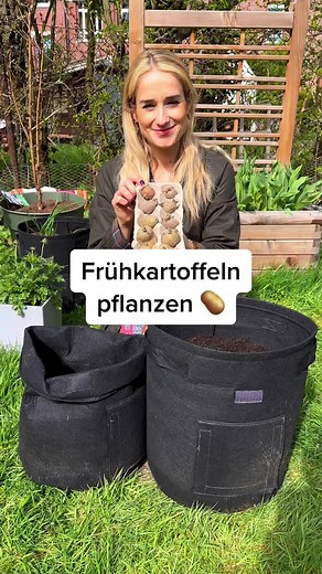 Frühkartoffeln pflanzen 🥔 #potatoes #potato #potatoeseveryday #potatoesoftiktok #kartoffeln #gardentips #gartentipps #frühkartoffeln #earlypotatoes #vegetablegarden #gemüseanbau #selbstversorger #growbags #gardentok #fypシ #designablehome