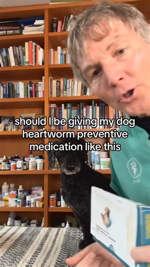 Heartworm in Dogs- is monthly medication needed? #interceptor #revolution #heartworm #dog #doghealth #mosquito #naturalremedy | Daily Pet Tips