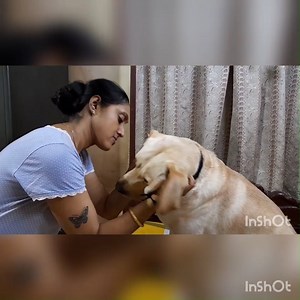 168K views · 1.6K reactions | Coco wants love from Mum, so he gets smooches from Mum, LOTS OF IT...藍藍藍藍 | Puja Chakraborty | Facebook