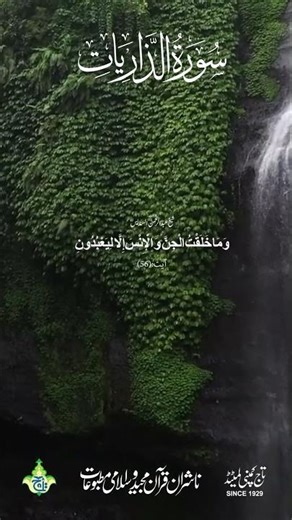 Surah Adh-Dhariyat Ayat 51:56 | Purpose of Life in Quran | Urdu Translation | Taj Company #shorts