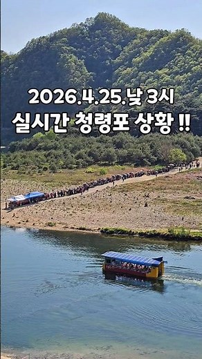 단종 유배지 영월 청령포 실시간 #영월 #단종문화제 #단종 #왕과사는남자 #청령포 #영월여행 #영월가볼만한곳 #영월명소 #영월단종문화제