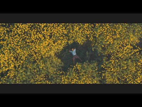 Harry Styles Two Ghosts Official Video