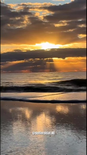 LIVE Incentive Program Overview