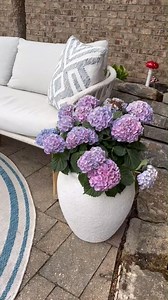 Springtime means flower time, and we found the perfect container for Jo's patio at Lowe's. This planter from "allen roth" has a natural stone exterior but a lightweight fiberglass interior, making it easy to carry. The plastic insert makes it a self-waterer if you add soil and a plant, but it can serve as a shelf to prop up a 10" grow pot to the perfect height! Just drop it in for instant springtime floral decor. Check out our Lowe's storefront on our links page for the source! #lowespartner #Lo