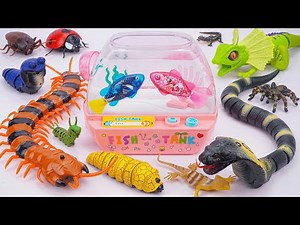 🦎toy asmr🦎 ZURU Robo Alive Insect Compilation ASMR | RC Naja Cobra Snake, Centipede, Lizard