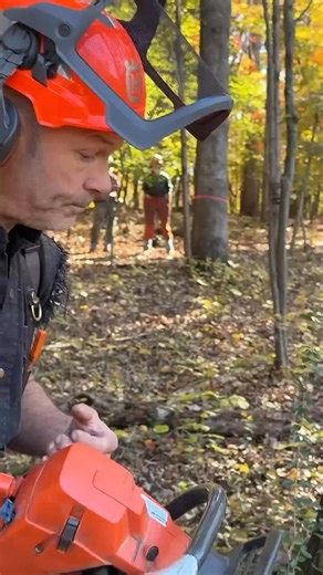 #logger #husqvarna #chainsaws #logging #faller | Buckin' Billy Ray Smith