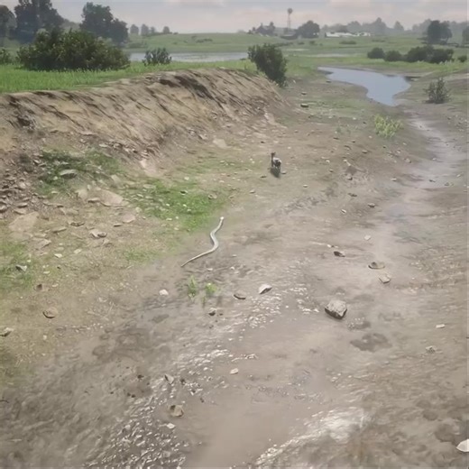 Baby Goat's Heroic Escape From Giant Snake