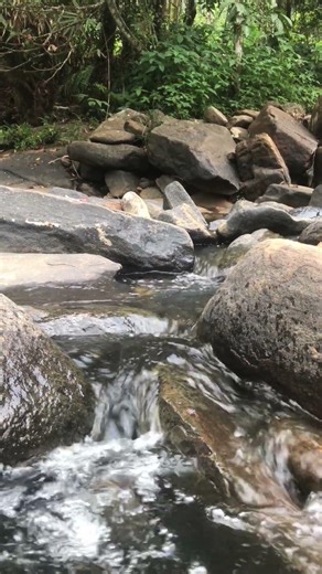 Pure Stream Flow ASMR 🌊 | No Music