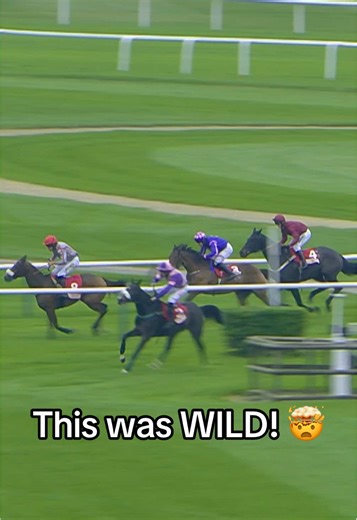 Tommie Beau's Return: Epic Cheltenham Cross Country Race