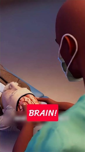 What If Einstein’s Brain Was Put Inside You?