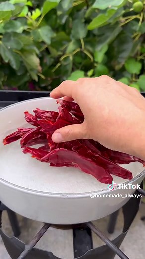 Chicken pozole rojo #pozole #mexicanfood | pozole verde