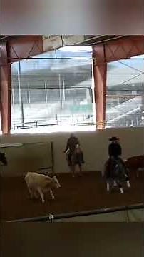 Nick Dowers and Republicat at CRCHA derby Paso Robles. #cowhorse #nrcha #metalliccat
