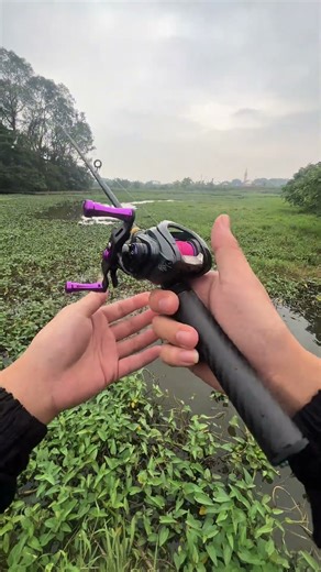 ngày 27 tháng 12, 2025