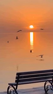 Maroni Roberto on Reels