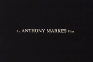 Bikini Island - Holly Floria, Alicia Anne, Kelly Pool