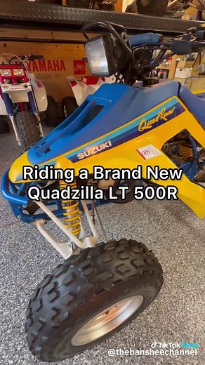 Suzuki LT500 Quadzilla: Power and Performance Overview