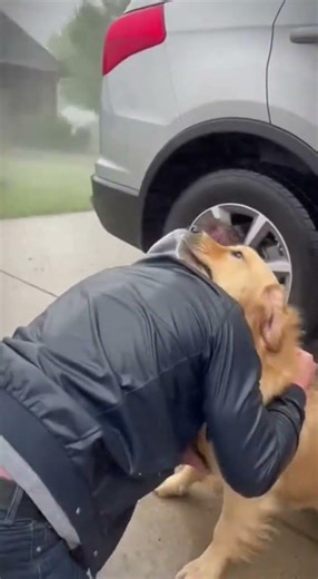 Tornado Wind Drags Dog Across Driveway — Owner Crawls Through Storm to Save Him