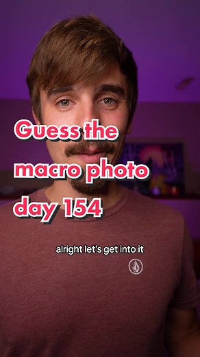 Jake's Macro Nature Photography: Guess the Macro Photo Day 154