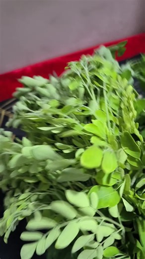 فيديوهات أنشأها ARS.SIVA.(90s)Kits🇮🇳💝🇸🇦 (@siva.agricultural) باستخدام original sound - LEARN TO BE ALONE