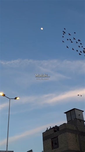Matlabi Hoja Zara Matlabi song lyrics #love​ #shorts​ #viralshorts​ #trendingshorts​ #status