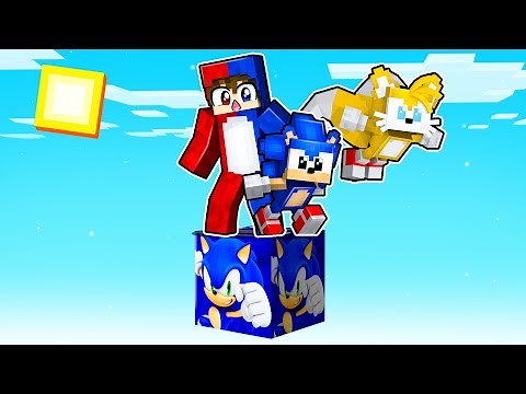 Minecraft, but it's one Sonic block! 😱😨