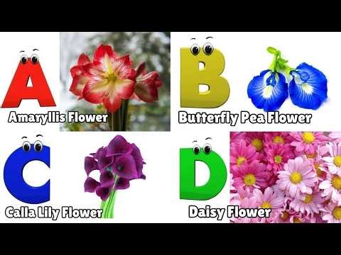 Flowers ABC Song for Kids - Phonics for Kids - Learn Alphabet Letters ​ ‪@KidsAbcdSchool‬ ​