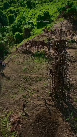 Se conoce como Land diving y es un ritual realizado por los hombres de la isla de Pentecostés, Vanuatu.​ Los hombres saltan de torres de madera de alrededor de 20 a 30 metros de altura, con 2 enredaderas alrededor de los tobillos.​ El salto se realiza atando enredaderas a cada tobillo.​ Posted @withregram • @earthpix 🎥 @jwang815 - Every Saturday from April through June, Pentecost Island (Vanuatu) witnesses the Nagol Land Diving ritual, aligned with the yearly yam harvest. This ritual is among t