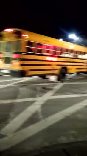 Boston public schools bus:Blue bird vision bus #395