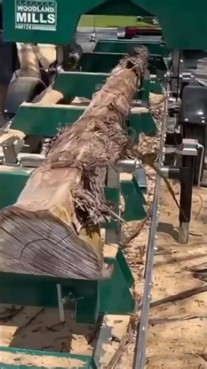 tree trunk splitting machine #shorts #woodworking