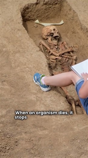 Artifact Dating – How Do Experts Date Ancient Artifacts? #Artifacts