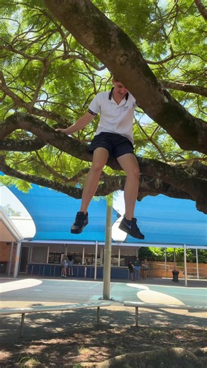 jackon.ed (@jackon.ed)’s videos with Spring Forest Birds Sing Near the Road - Aadam Aki