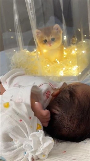 Dad’s Surprise Gift Melted Her Heart 🥹🐱 | Cutest Kitten Ever #Shorts