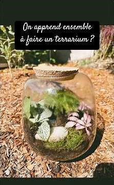 Faire son terrarium de plantes à la maison : tuto facile