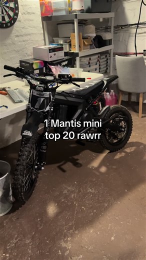 Mantis Mini Racing: Top 20 Rawrr Performances