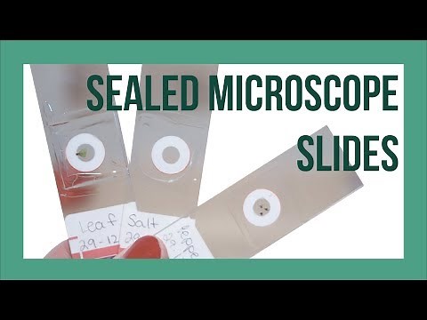 Sealed Microscope Slides - DIY Semi-Permanent Microscope Slides!