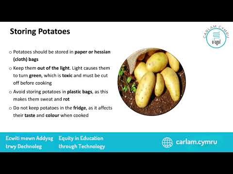 Unit 1.1 - Food commodity groups: Carbohydrates