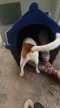 To Fuleco's house! #fuleco